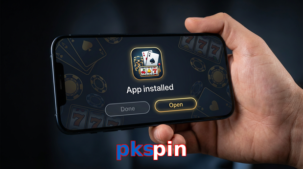 Payment and PKR controls in Pkspin