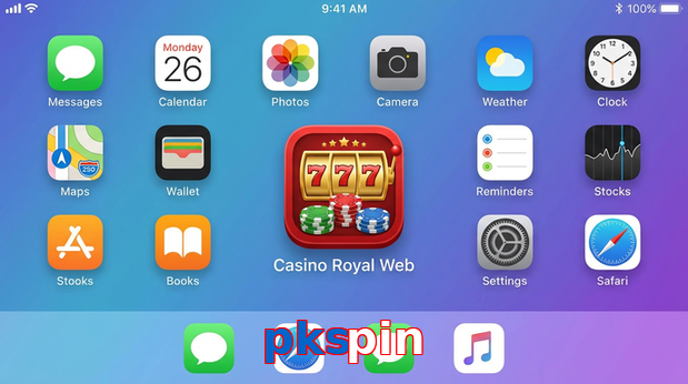 Payment and PKR controls in Pkspin